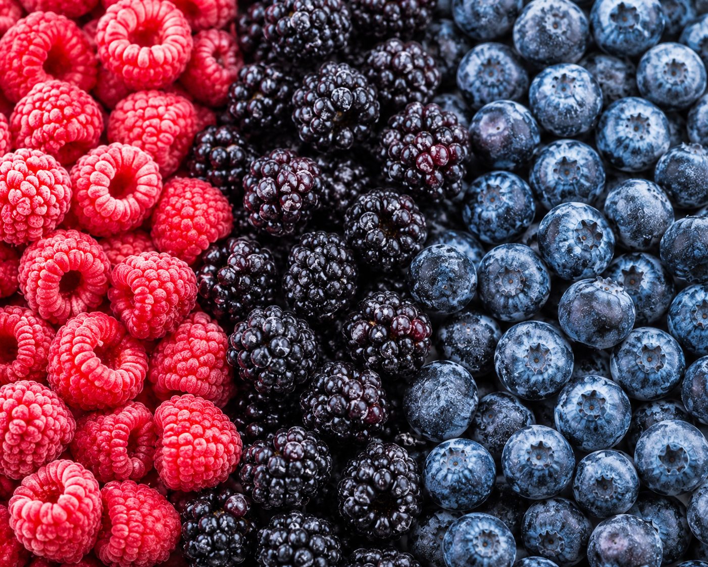 Mix de Frutos Rojos