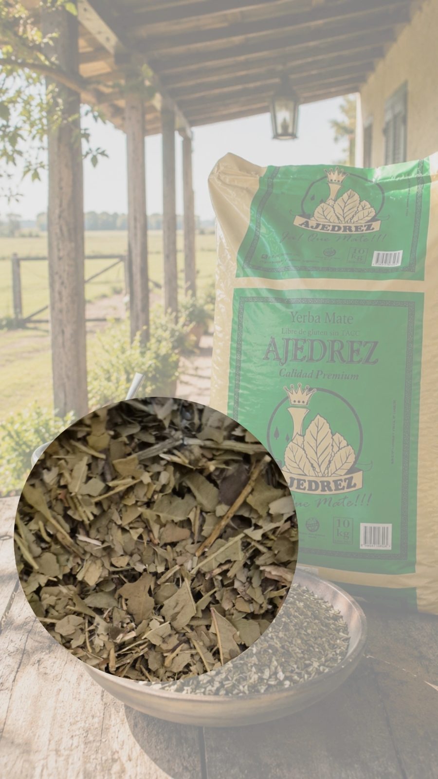 Yerba Ajedrez Canchada